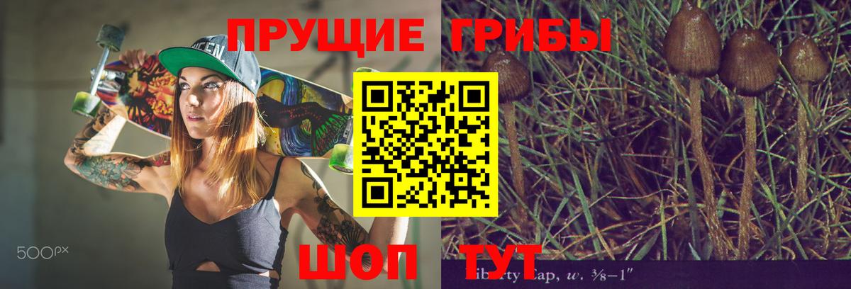 Псилоцибиновые грибы Magic Shrooms  Галлюциногенные грибы GOLDEN TEACHER  Шарыпово  Вход с VPN 
